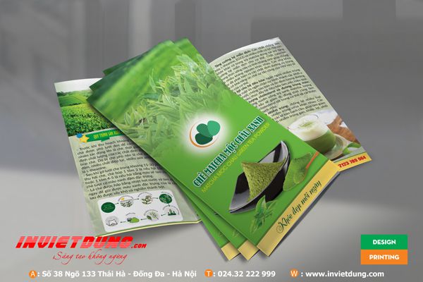 Mẫu tờ rơi Bột trà xanh Matcha - In tờ rơi trà xanh matcha